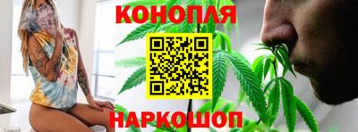 прущие грибы Тара