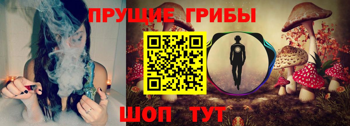 Псилоцибиновые грибы мицелий Миллерово