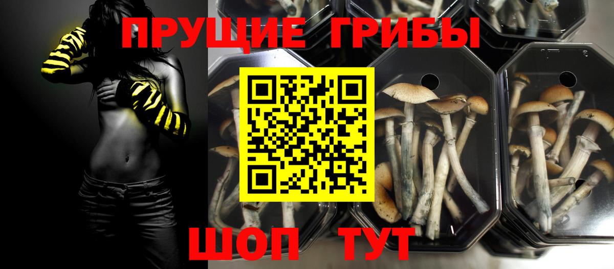 Миллерово  Псилоцибиновые грибы MAGIC MUSHROOMS  Вход с VPN 